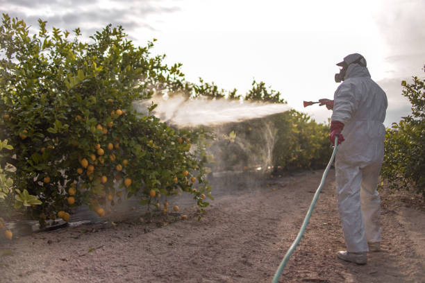Yuma, CO Pest Control Company