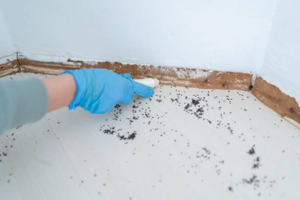 Best Best Pest Control Companies  in Yuma, CO