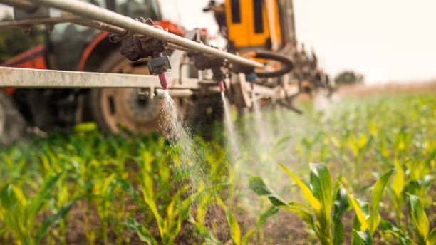 Best Best Pest Control Companies  in Yuma, CO